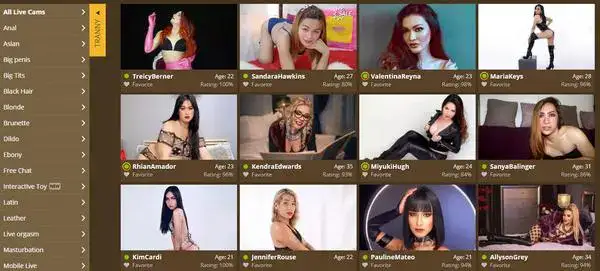 My Tranny Cams homepage screenshot with all TS models available